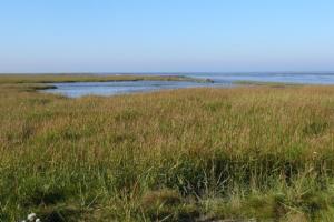 Ferienwohnung Ant Blink