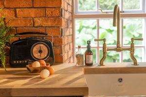 The Forest at Mount Congreve Gardens