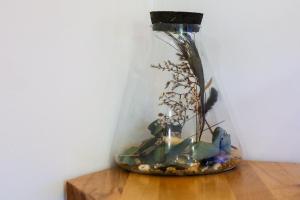 Appartements Le Clos des Lilas : photos des chambres