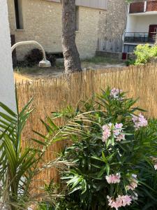 Maisons de vacances NOUVEAU Grande maison familiale Leucate Village : photos des chambres