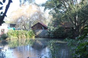 One on Old Main Unit 8