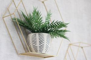 Lancaster 2 Bedroom House - Driveway Parking