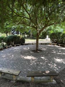Sejours chez l'habitant Domaine familial du chateau de Ragny : photos des chambres