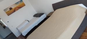 Coresi Luxury Sinuhe Residents Studio for 4