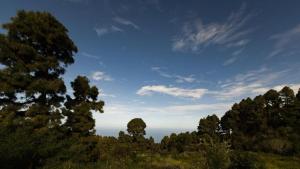 Monte frio de Tenerife