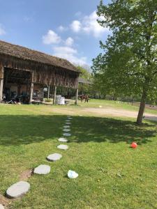 Maisons de vacances Farm with view, horses and castles, plain nature : photos des chambres