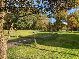 Maisons de vacances Farm with view, horses and castles, plain nature : photos des chambres