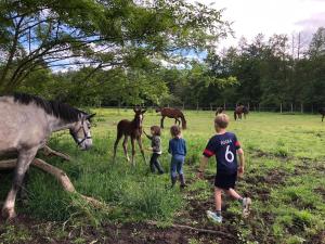 Maisons de vacances Farm with view, horses and castles, plain nature : photos des chambres