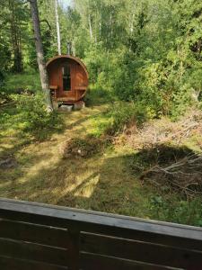 Ränduri Pesa Paiveli koplis