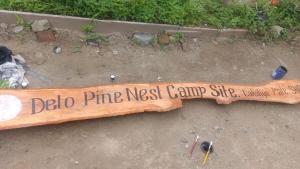 Delo pine nest campsite
