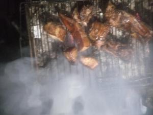 Delo pine nest campsite