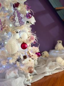 Appartements Grand T4 avec terrasse & parking Les Vieux Toits de Riquewihr : photos des chambres