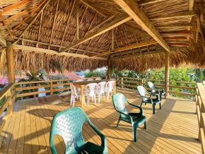 Casa San Miguel Tolú, El francés