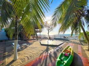 Casa San Miguel Tolú, El francés