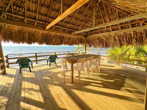 Casa San Miguel Tolú, El francés