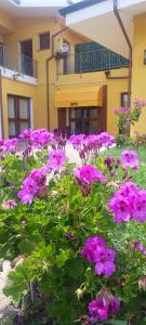 Su Arghentu Country Hotel img22