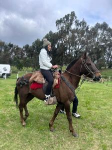 W i M, Hostel & Camping