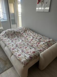 Komfortowy apartament w centrum Koszalina