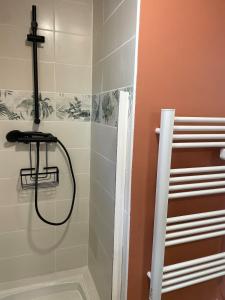 Maisons de vacances La Villa d-Elisa : photos des chambres