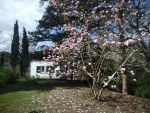 Maisons de vacances Gite 2ch 2sdb Piscine 20min plages : photos des chambres