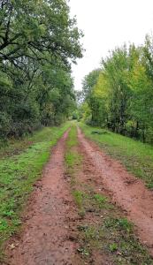 Maisons de vacances Gite equestre : photos des chambres