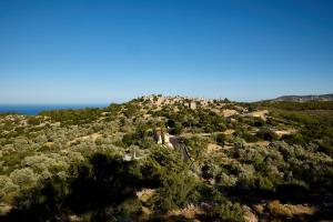 Avgonyma Square Nest