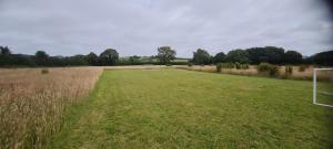 Cozy Dog Friendly Hot Tent With Log Burner & Logs