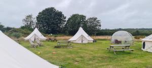 Cozy Dog Friendly Hot Tent With Log Burner & Logs