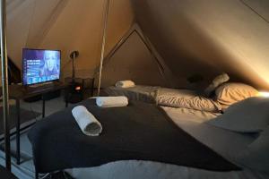 Cozy Hot Tent with Log Burner & Hot Tub Left Tent