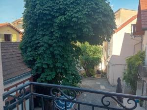 Appartements Vichy Sejour : photos des chambres