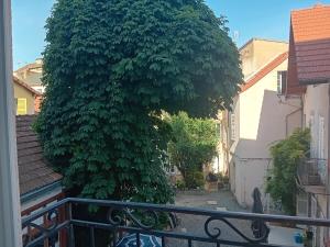 Appartements Vichy Sejour : photos des chambres