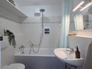 Penthouse in the Neustadt