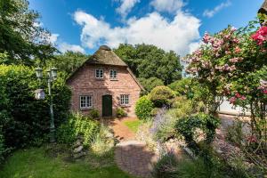 My Little Rose Cottage