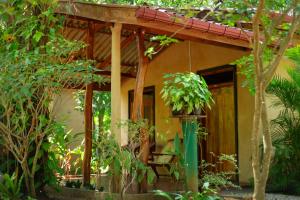 Sigiri Serenity Homestay