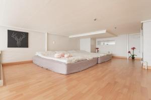 House with Park View