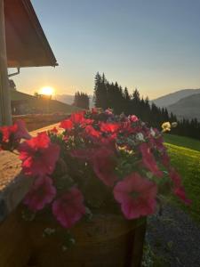 Ferienwohnungen Krapfenalm