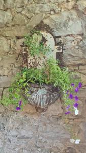 Wine Garden old apartment