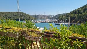 Wine Garden old apartment