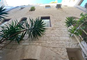 Angiporto Ognissanto