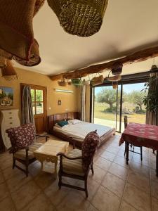 Maisons de vacances Les Coquettes : photos des chambres