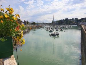Appartements O ptit moulin- Studio vue sur le port : photos des chambres