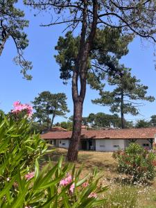 Appartements Les Pastourelles : photos des chambres