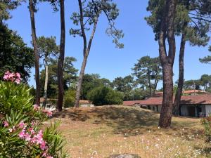 Appartements Les Pastourelles : photos des chambres