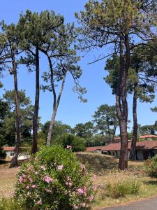 Appartements Les Pastourelles : photos des chambres