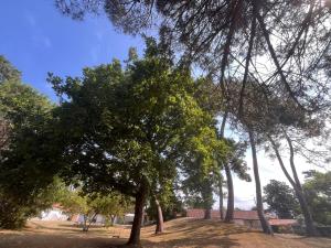 Appartements Les Pastourelles : photos des chambres