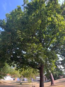 Appartements Les Pastourelles : photos des chambres