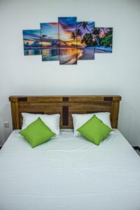 Airport and Paddy View Home Stay