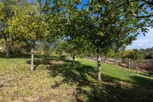 Monte dos Casarões Casa grande