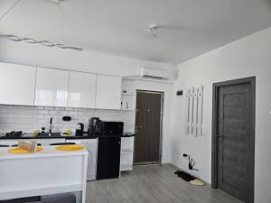 Apartament Dem Rădulescu langa strand