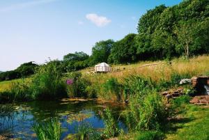 Peak View Glamping Tent